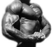 C:\Users\Dennis\Documents\Misc Bodybuilding Graphic and Photo Scans A-R\Chip Sigmon #1.jpg